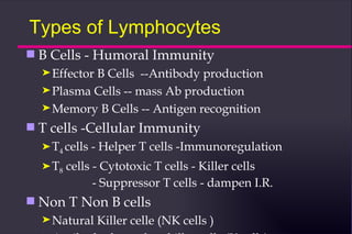 Types of Lymphocytes
s   B Cells - Humoral Immunity
    ® Effector
             B Cells --Antibody production
    ® Plasma Cells -- mass Ab production
    ® Memory B Cells -- Antigen recognition

s   T cells -Cellular Immunity
    ® T4 cells   - Helper T cells -Immunoregulation
    ® T8   cells - Cytotoxic T cells - Killer cells
                 - Suppressor T cells - dampen I.R.
s   Non T Non B cells
    ® Natural     Killer celle (NK cells )
 