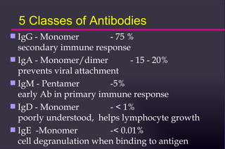 5 Classes of Antibodies
s IgG - Monomer          - 75 %
  secondary immune response
s IgA - Monomer/dimer          - 15 - 20%
  prevents viral attachment
s IgM - Pentamer         -5%
  early Ab in primary immune response
s IgD - Monomer          - < 1%
  poorly understood, helps lymphocyte growth
s IgE -Monomer           -< 0.01%
  cell degranulation when binding to antigen
 