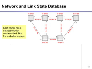 12
Network and Link State Database
10.1.1.0 / 24
.1 .2 .2
10.10.10.1
10.1.4.0 / 24
1
0
.
1
.
2
.
0
/
2
4
.1
.4
10.1.7.0 / 24
10.1.6.0
/
24
10.1.3.0
/
24
10.1.5.0/24
1
0
.
1
.
8
.
0
/
2
4
.3
.3 .5
.2
.3
.5
.5
.4
.4
.6
.6
10.10.10.2 10.10.10.4 10.10.10.6
10.10.10.2 10.10.10.5
Each router has a
database which
contains the LSAs
from all other routers
 
