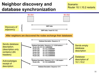 18
Neighbor discovery and
database synchronization
OSPF Hello
OSPF Hello: I heard 10.1.10.2
Database Description: Sequence = X
10.1.10.1 10.1.10.2
Database Description: Sequence = X, 5 LSA headers =
Router-LSA, 10.1.10.1, 0x80000006
Router-LSA, 10.1.10.2, 0x80000007
Router-LSA, 10.1.10.3, 0x80000003
Router-LSA, 10.1.10.4, 0x8000003a
Router-LSA, 10.1.10.5, 0x80000038
Router-LSA, 10.1.10.6, 0x80000005
Database Description: Sequence = X+1, 1 LSA header=
Router-LSA, 10.1.10.2, 0x80000005
Database Description: Sequence = X+1
Sends empty
database
description
Scenario:
Router 10.1.10.2 restarts
Discovery of
adjacency
Sends database
description.
(description only
contains LSA
headers)
Database
description of
10.1.10.2
Acknowledges
receipt of
description
After neighbors are discovered the nodes exchange their databases
 