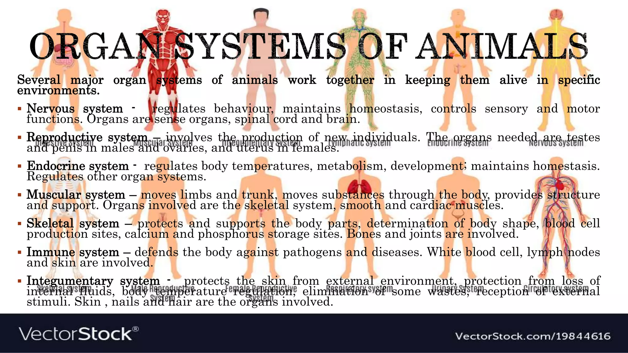 Module #11 how do_animals_survive | PPTX