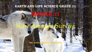 EARTH AND LIFE SCIENCE GRADE 11
MODULE 11
How Animals Survive
MR. ALEXANDER G. DELA CRUZ
 