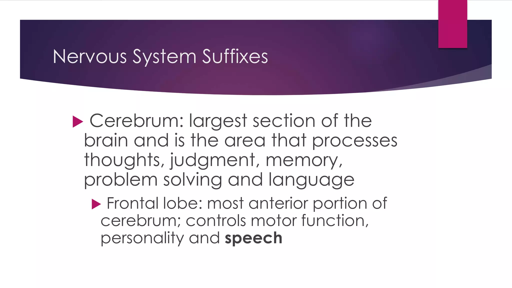Nervous System Suffixes
 Cerebrum: largest section of the
brain and is the area that processes
thoughts, judgment, memory,
problem solving and language
 Frontal lobe: most anterior portion of
cerebrum; controls motor function,
personality and speech
 