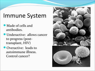 Immune System
Made of cells and
 antibodies.
Underactive: allows cancer
 to progress (post-
 transplant, HIV)
Overactive: leads to
 autoimmune illness.
 Control cancer?
 