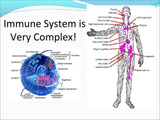 Immune System is
 Very Complex!



                   Blood
 