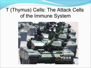 T (Thymus) Cells: The Attack Cells
      of the Immune System
 