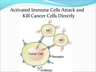 Activated Immune Cells Attack and
      Kill Cancer Cells Directly
 