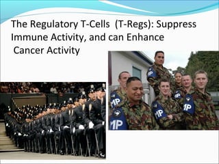 The Regulatory T-Cells (T-Regs): Suppress
Immune Activity, and can Enhance
 Cancer Activity
 