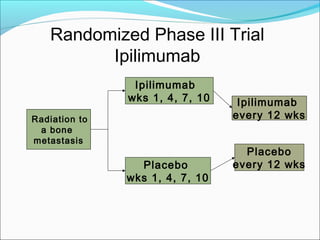 Randomized Phase III Trial
          Ipilimumab
                Ipilimumab
               wks 1, 4, 7, 10    Ipilimumab
Radiation to                     every 12 wks
 a bone
metastasis
                                   Placebo
                 Placebo         every 12 wks
               wks 1, 4, 7, 10
 