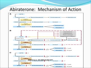.




Attard G et al. JCO 2008;26:4563-4571
 