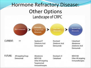 Hormone Refractory Disease:
     Other Options
 