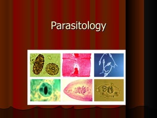 Parasitology
 