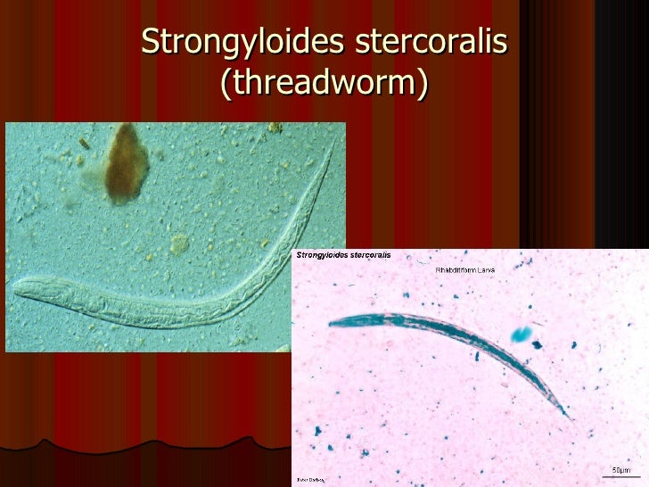 Module12 parasitology-120620072430-phpapp02