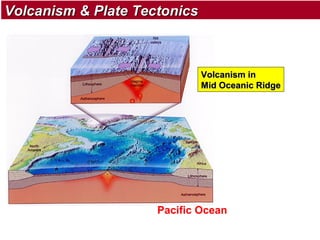 Volcanism & Plate Tectonics

Volcanism in
Mid Oceanic Ridge

Pacific Ocean

 