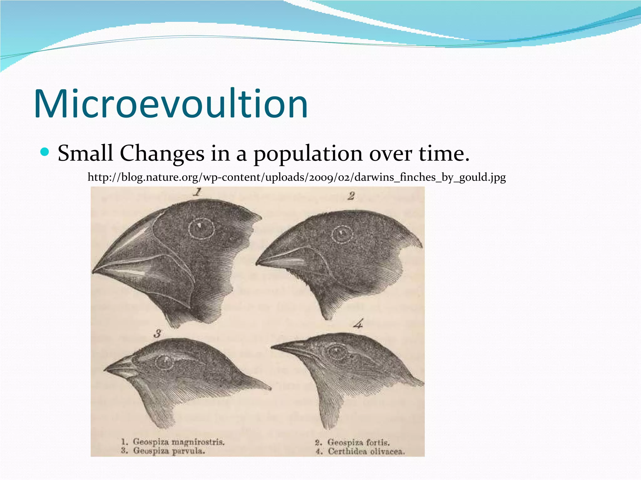 Module 12 lesson 1 | PPT