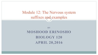 B Y
MOSHOOD ERINOSHO
BIOLOGY 120
APRIL 20,2016
Module 12: The Nervous system
suffixes and examples
 