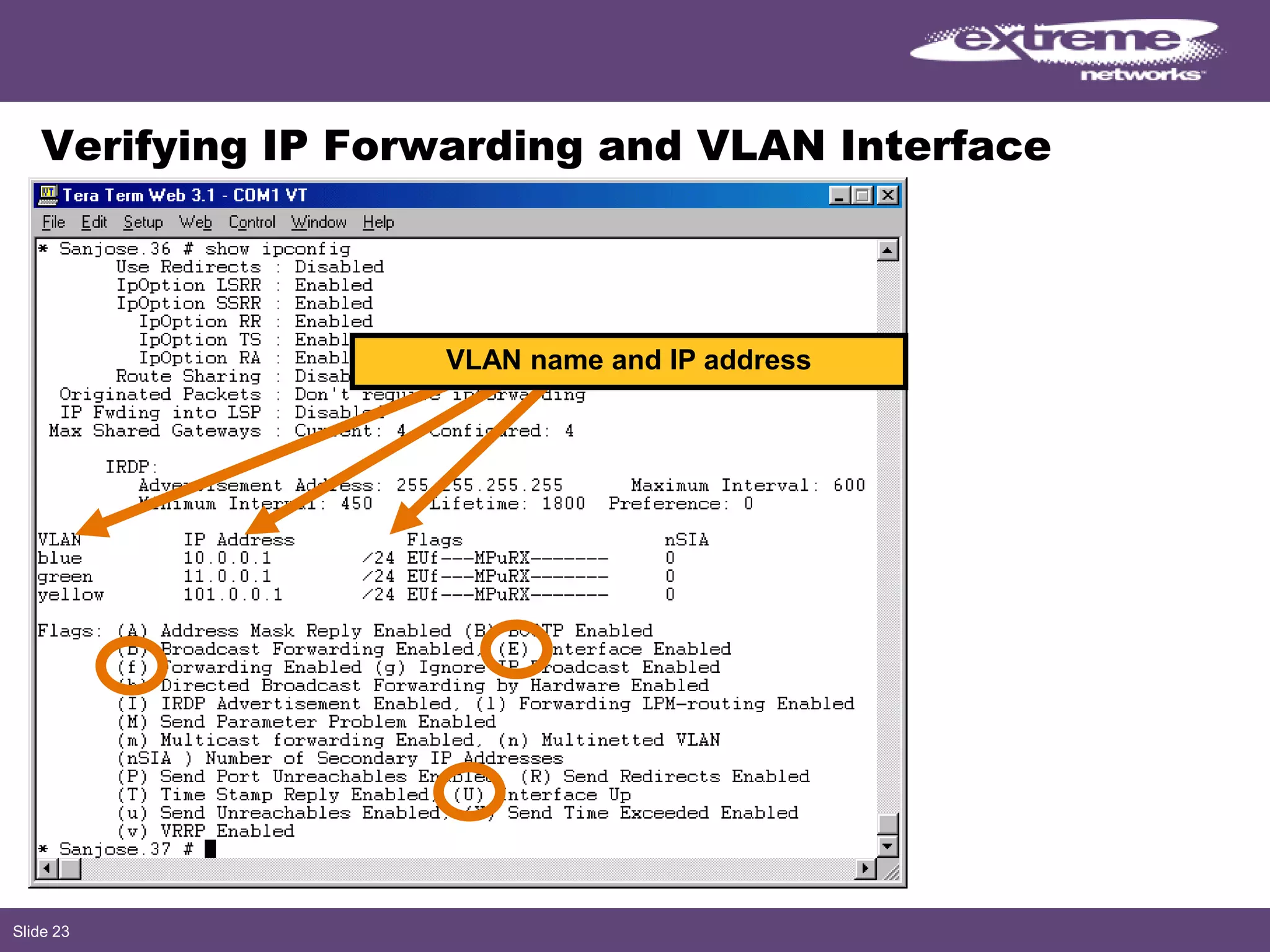 Slide 23
Verifying IP Forwarding and VLAN Interface
VLAN name and IP address
 