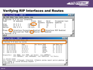 Slide 22
Verifying RIP Interfaces and Routes
 