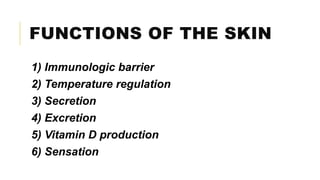 FUNCTIONS OF THE SKIN
1) Immunologic barrier
2) Temperature regulation
3) Secretion
4) Excretion
5) Vitamin D production
6) Sensation
 