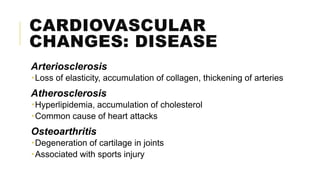 CARDIOVASCULAR
CHANGES: DISEASE
Arteriosclerosis
Loss of elasticity, accumulation of collagen, thickening of arteries
Atherosclerosis
Hyperlipidemia, accumulation of cholesterol
Common cause of heart attacks
Osteoarthritis
Degeneration of cartilage in joints
Associated with sports injury
 