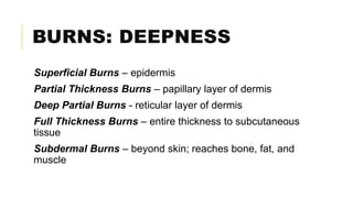 BURNS: DEEPNESS
Superficial Burns – epidermis
Partial Thickness Burns – papillary layer of dermis
Deep Partial Burns - reticular layer of dermis
Full Thickness Burns – entire thickness to subcutaneous
tissue
Subdermal Burns – beyond skin; reaches bone, fat, and
muscle
 