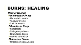 BURNS: HEALING
Dermal Healing
Inflammatory Phase
Hemostatic events
Vascular events
Cellular events
Fibroplastic Stage
Fibroblasts
Collagen synthesis
Granulation tissue
Wound contraction
Maturation Phase
Hypertrophic scar, keloid
 