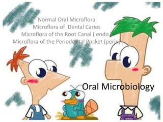 Normal Oral Microflora
        Microflora of Dental Caries
   Microflora of the Root Canal ( endo )
Microflora of the Periodontal Pocket (perio)




                            Oral Microbiology
 