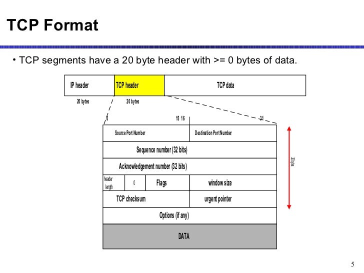 Computer network (Lecture 2)