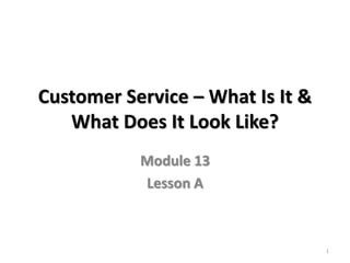 Customer Service – What Is It &
What Does It Look Like?
Module 13
Lesson A
1
 