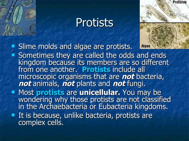 Module 13 lesson 1 | PPT | Biological Sciences | Science