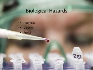 Biological Hazards
• Bacteria
• Viruses
• Fungi
© Business & Legal Reports, Inc. 0912
 