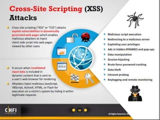 Module 18 investigating web attacks | PPTX