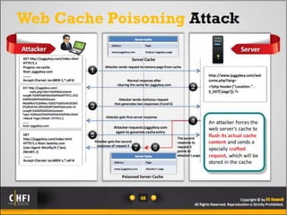 Module 18 investigating web attacks | PPTX