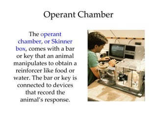 Operant Chamber

      The operant
 chamber, or Skinner
box, comes with a bar
 or key that an animal
manipulates to obtain a
reinforcer like food or
water. The bar or key is
 connected to devices
    that record the
  animal’s response.
 