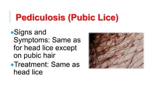 Pediculosis (Pubic Lice)
•Signs and
Symptoms: Same as
for head lice except
on pubic hair
•Treatment: Same as
head lice
 