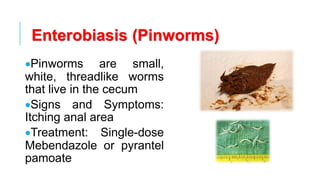 Enterobiasis (Pinworms)
•Pinworms are small,
white, threadlike worms
that live in the cecum
•Signs and Symptoms:
Itching anal area
•Treatment: Single-dose
Mebendazole or pyrantel
pamoate
 