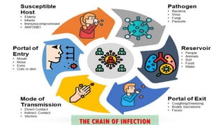THE CHAIN OF INFECTION
 