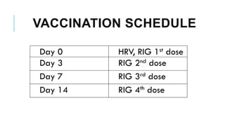 VACCINATION SCHEDULE
Day 0 HRV, RIG 1st dose
Day 3 RIG 2nd dose
Day 7 RIG 3rd dose
Day 14 RIG 4th dose
 