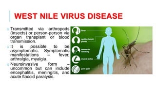 WEST NILE VIRUS DISEASE
o Transmitted via arthropods
(insects) or person-person via
organ transplant or blood
transmission.
o It is possible to be
asymptomatic. Symptomatic
manifestations – fever,
arthralgia, myalgia.
o Neuroinvasive form –
uncommon but can include
encephalitis, meningitis, and
acute flaccid paralysis.
 
