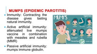 MUMPS (EPIDEMIC PAROTITIS)
• Immunity: Contracting the
disease gives lasting
natural immunity.
• Active artificial immunity:
attenuated live mumps
vaccine in combination
with measles and rubella
(MMR)
• Passive artificial immunity:
mumps immune globulin.
 