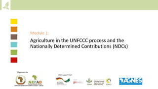 Module 1:
Agriculture in the UNFCCC process and the
Nationally Determined Contributions (NDCs)
Organized by
With support from
 