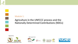 Module 1: Agriculture in the UNFCCC process and NDCs