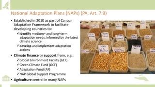 Module 1: Agriculture in the UNFCCC process and NDCs