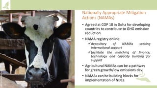 Module 1: Agriculture in the UNFCCC process and NDCs