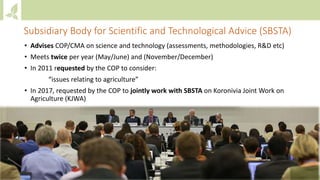 Module 1: Agriculture in the UNFCCC process and NDCs