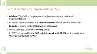 Module 1: Agriculture in the UNFCCC process and NDCs