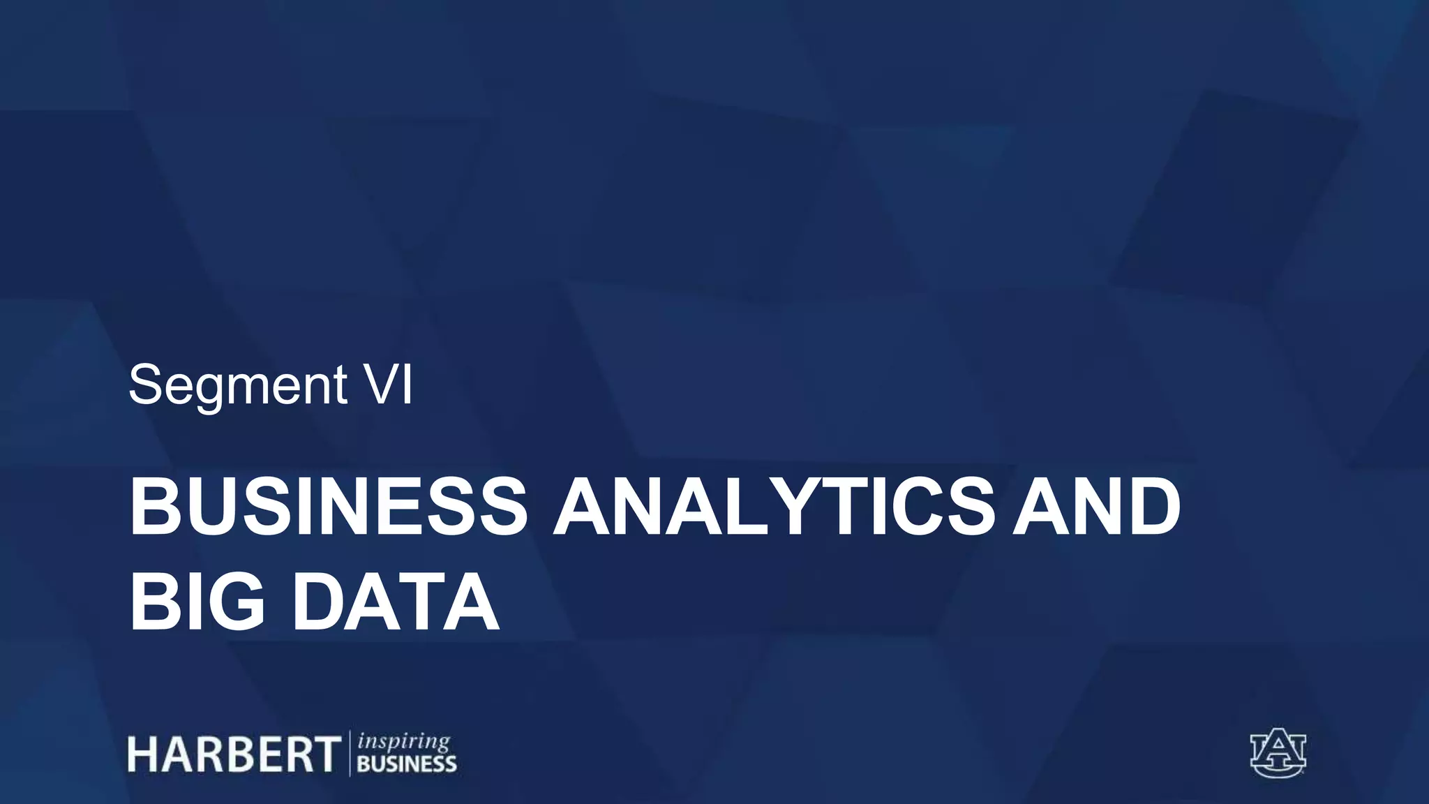 BUSINESS ANALYTICS AND
BIG DATA
Segment VI
 