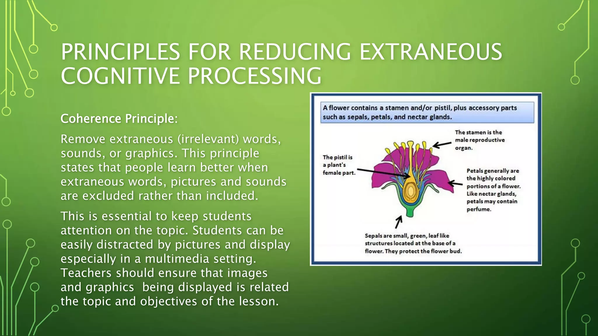 Module 1 assignment 2 (adanna britto) | PPTX