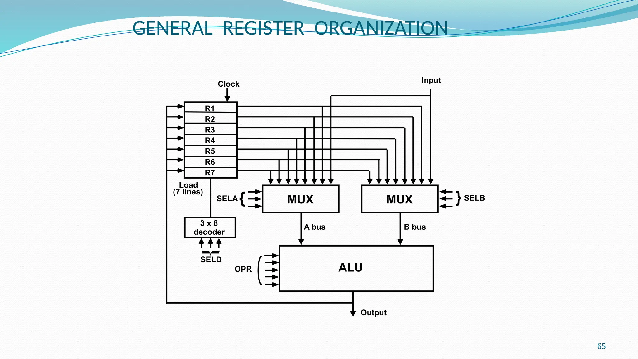 65
GENERAL REGISTER ORGANIZATION
MUX
SELA{ MUX }SELB
ALU
OPR
R1
R2
R3
R4
R5
R6
R7
Input
3 x 8
decoder
SELD
Load
(7 lines)
Output
A bus B bus
Clock
 