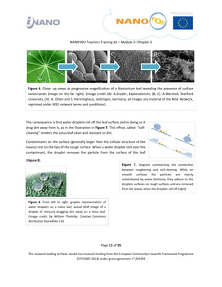  

 

 

                                      NANOYOU Teachers Training Kit – Module 1– Chapter 2 

 
    A                                 B                                  C                                   D    
 

 

 

    Figure  6.  Close‐  up  views  at  progressive  magnification  of  a  Nasturtium leaf  revealing  the  presence of  surface 
    nanocrystals  (image  on  the  far  right).  (Image  credit  (A):  A.Snyder,  Exploratorium;  (B,  C):  A.Marshall,  Stanford 
    University, (D): A. Otten and S. Herminghaus, Göttingen, Germany, all images are material of the NISE Network, 
    reprinted under NISE network terms and conditions). 

 

The consequence is that water droplets roll off the leaf surface and in doing so it 
drag dirt away from it, as in the illustration in Figure 7. This effect, called  “self‐
cleaning” renders the Lotus leaf clean and resistant to dirt. 

Contaminants on the surface (generally larger then the cellular structure of the 
leaves) rest on the tips of the rough surface. When a water droplet rolls over the 
contaminant,  the  droplet  removes  the  particle  from  the  surface  of  the  leaf 

(Figure 8). 
                                                                                 Figure  7.  Diagram  summarizing  the  connection 
                                                                                 between  roughening  and  self‐cleaning.  While  on 
                                                                                 smooth  surfaces  the  particles  are  mainly 
                                                                                 redistributed  by  water  (bottom),  they  adhere  to  the 
                                                                                 droplets surfaces on rough surfaces and are removed 
                                                                                 from the leaves when the droplets roll off (right)  


                                                                          
    Figure  8.  From  left  to  right:  graphic  representation  of 
    water  droplets  on  a  Lotus  leaf,  actual  SEM  image  of  a       
    droplet  of  mercury  dragging  dirt  away  on  a  lotus  leaf. 
    (Image  credit:  by  William  Thielicke,  Creative  Commons           
    Attribution ShareAlike 3.0). 
                                                                          




                                                                Page 11 of 15 

    The research leading to these results has received funding from the European Community's Seventh Framework Programme 
                                         (FP7/2007‐2013) under grant agreement n° 233433 

 
 